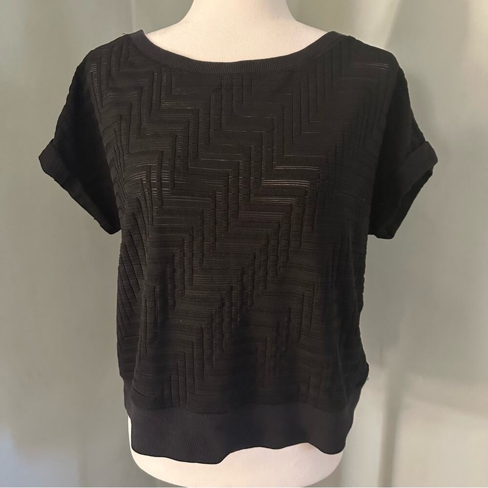 Halogen Black Textured Women's Top, Sheer Stripes, Slightly Cropped, S